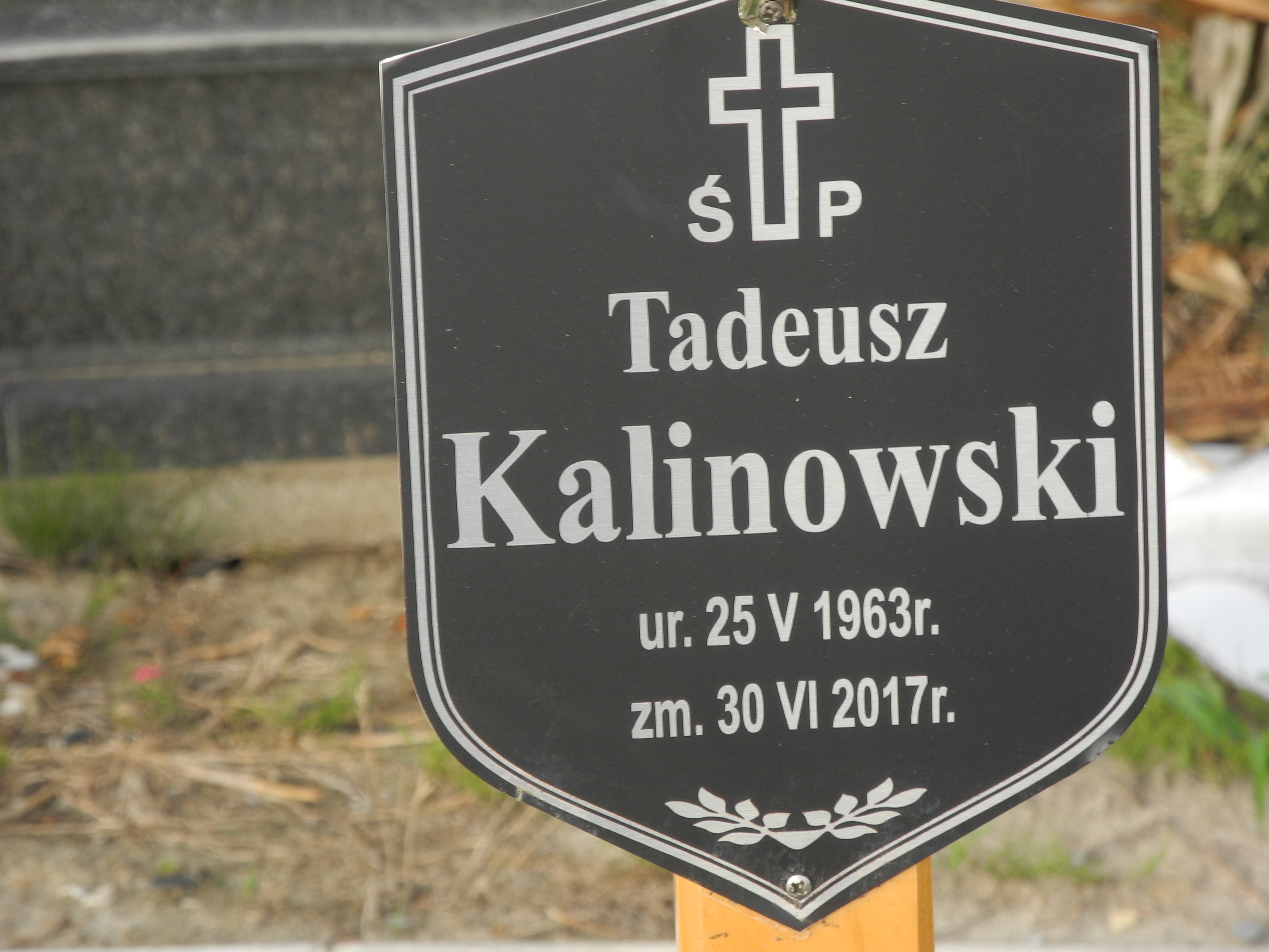 Tadeusz Kalinowski 1963 Mikołów (Salwatorianie) - Grobonet - Wyszukiwarka osób pochowanych